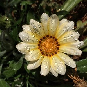 Meet your Posher, Kailynn